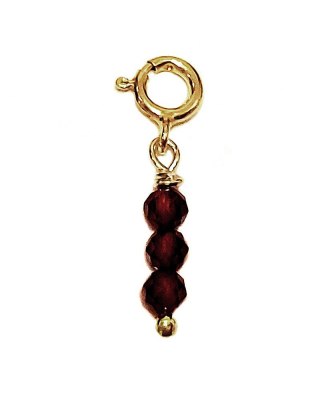 Charms Granat 925